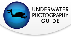 Great Color in your Underwater Photos