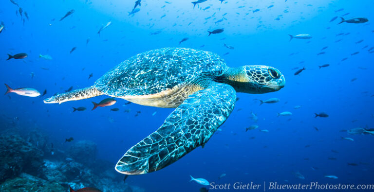 NIkon 16-35mm lens review nikon-review-16