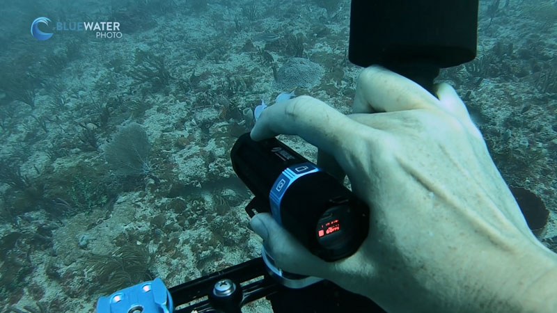 Excellent underwater ergonomics