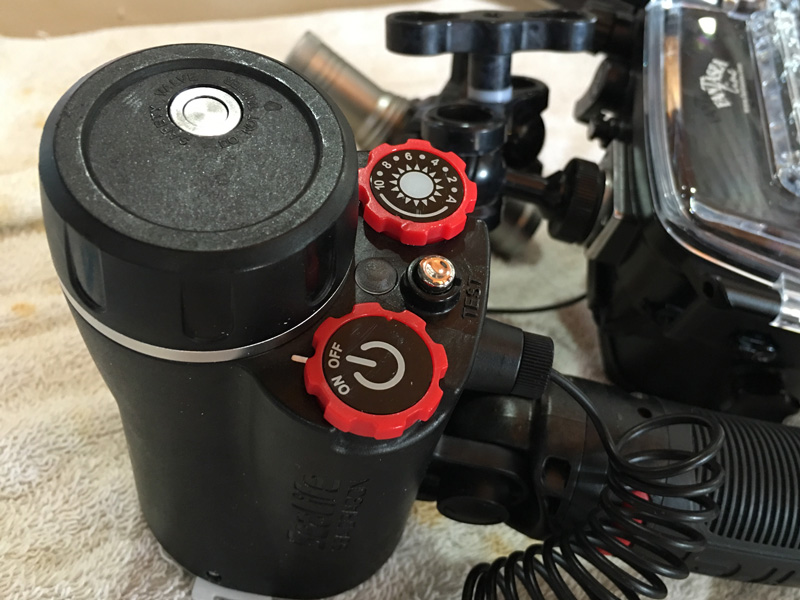 sealife-flash-review-underwater-sea-dragon