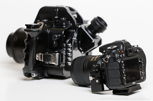 Sea & Sea MDX-D7100 Housing Review sea&sea_mdx-d7100_review