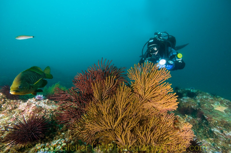 sigma-8-16-mm-Telephoto-Zoom-Lens-3