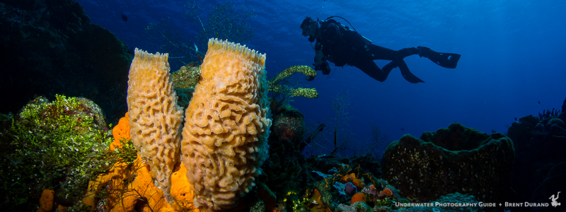 single-strobe-positioning