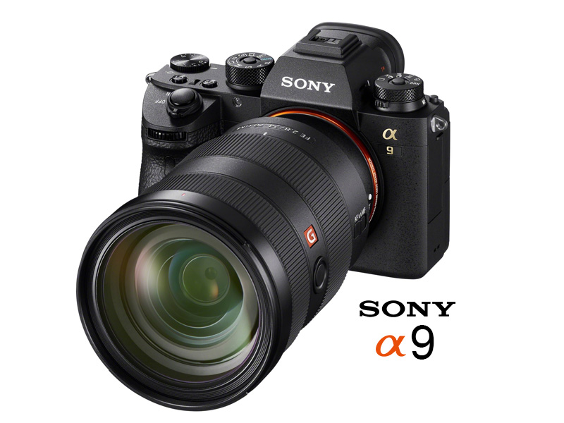 sony-a9-underwater-camera-review
