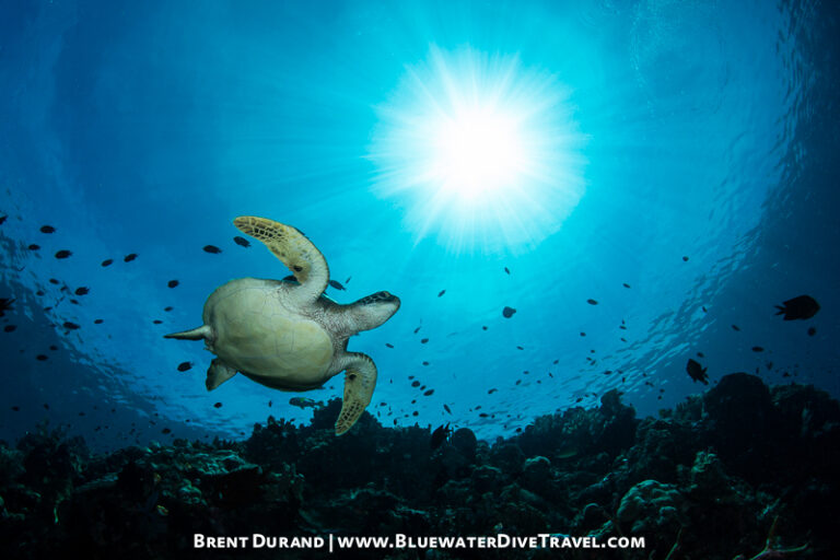 Guide to Shooting Striking Sunbursts sunbursts-durand2