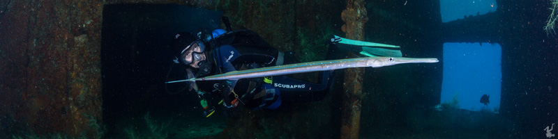 underwater-dive-model-tutorials