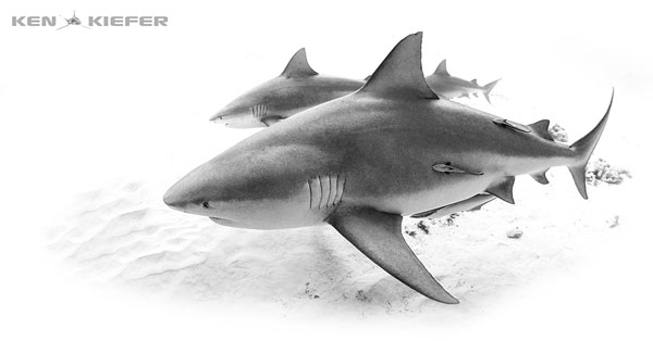 Creating Simple and Strong Compositions