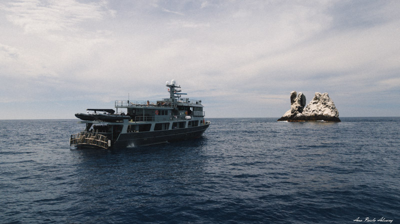 Socorro Vortex and Roca Partida by Ana Paula Álvarez