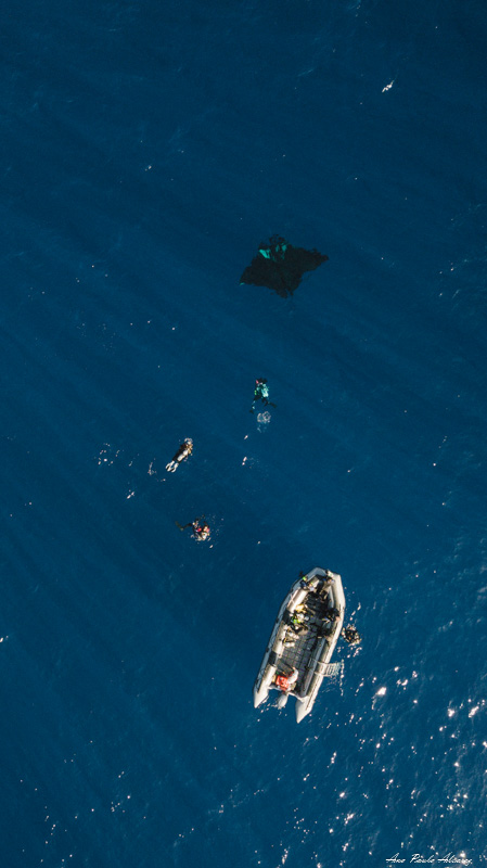 Panga and giant manta ray by Ana Paula Álvarez