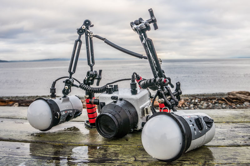 Ikelite Sony a6400 underwater housing after surviving a current-heavy macro dive