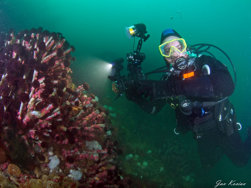 Fantasea Sony a6400 underwater housing on a cold water dive. Photo by Jan Kocian