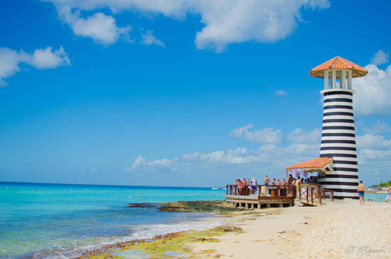 Plastic pollution threatens far more than manicured beaches. It can change the ecosystem behind the waves Plastic Pollution