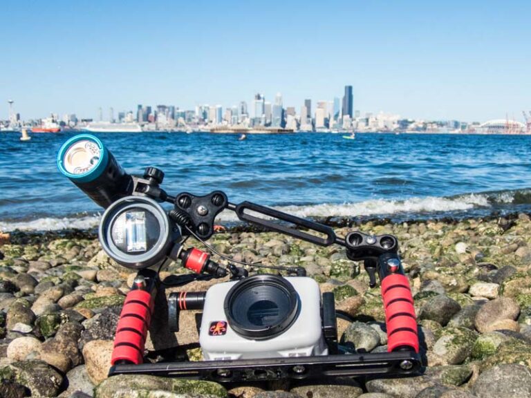 Olympus TG-5 and TG-6 Underwater Settings P7210026