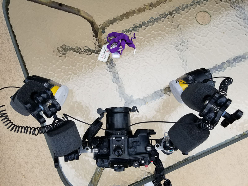 This is how my setup looks to get a successful test shot on land, using my 60mm macro lens (120 mm full frame equivalent). Land Setup