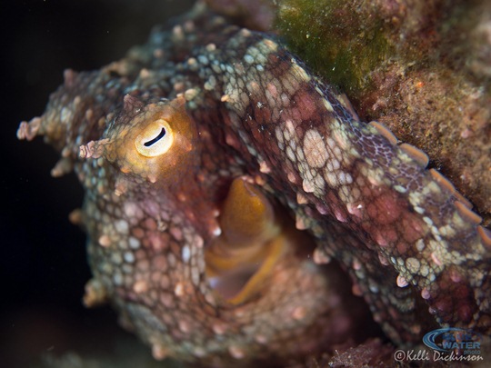 Panasonic Leica 45mm lens f/2.8, 1/250, ISO 200 Panasonic Leica 45mm lens f/2.8, 1/250, ISO 200