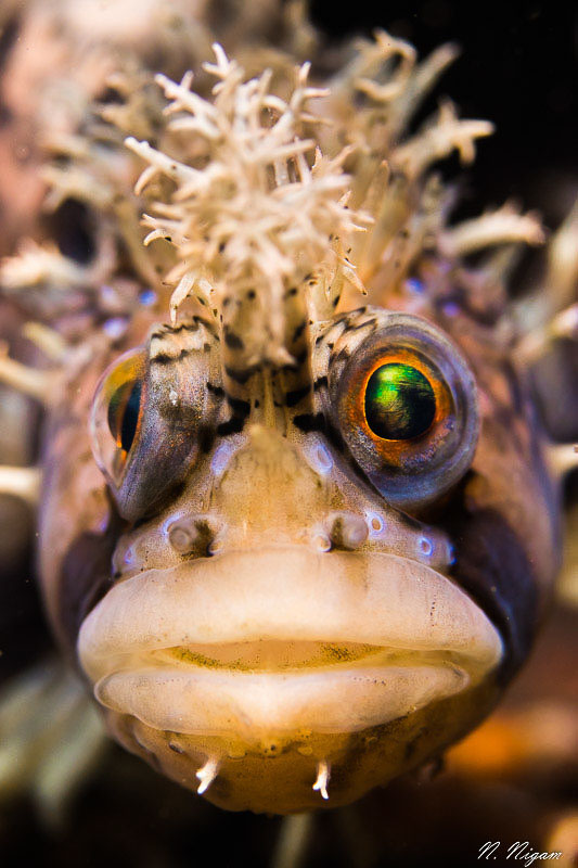 Canon Rebel SL3 with EF-S 60mm f/2.8 Macro USM Lens, f/6.3, 1/160, ISO 400 Canon Rebel SL3 with EF-S 60mm f/2.8 Macro USM Lens, f/6.3, 1/160, ISO 400