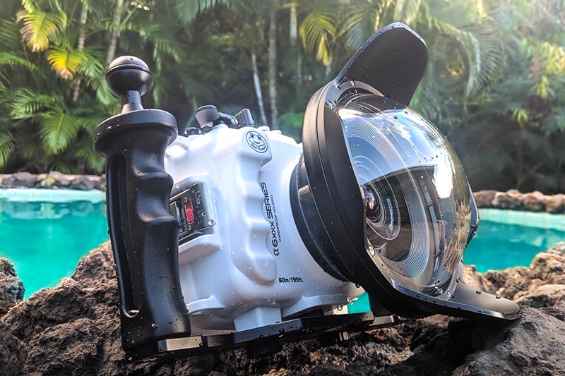 Salted Line Housing with 6” acrylic dome and dual handle tray Salted Line Housing with 6” acrylic dome and dual handle tray