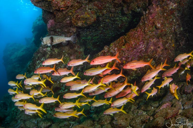 Nikon Z50, 8-15mm Fisheye, f/9, 1/125, ISO 100 Nikon Z50, 8-15mm Fisheye, f/9, 1/125, ISO 100