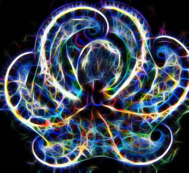 Oversaturation of fractals after applying the filter on an octopus image.