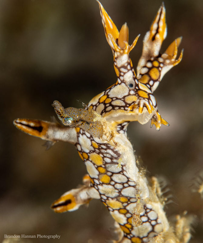 Sony RX100V. 1/250 sec, f/11, ISO 100.