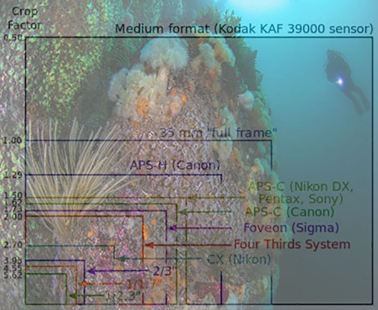 Full Frame vs Cropped Sensors Cropped Sensor Image Overlay