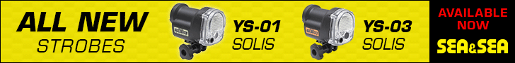 SS-728x90-YS-SOLIS