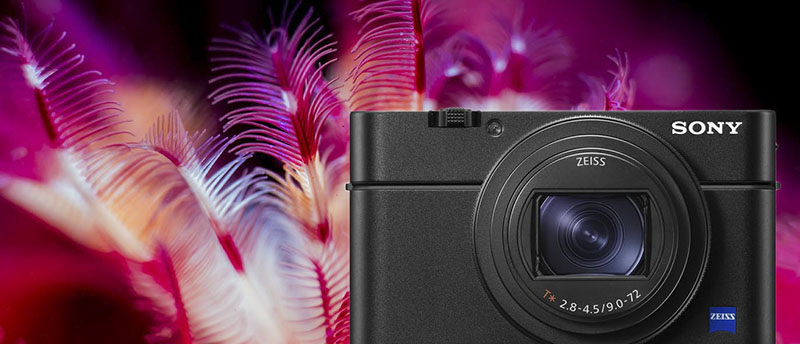 The Sony RX100VI Sony RX100VI Underwater