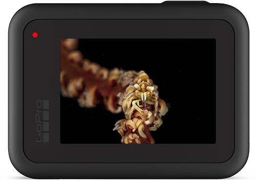 The GoPro Hero 8 GoPro Hero 8 Underwater