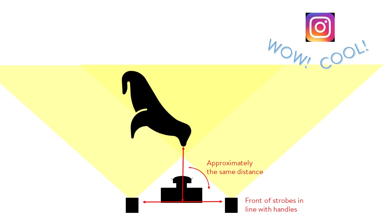Strobe positioning for close sea lions. Make sure they are pulled back, or else you may have a snowstorm of backscatter to deal with later!