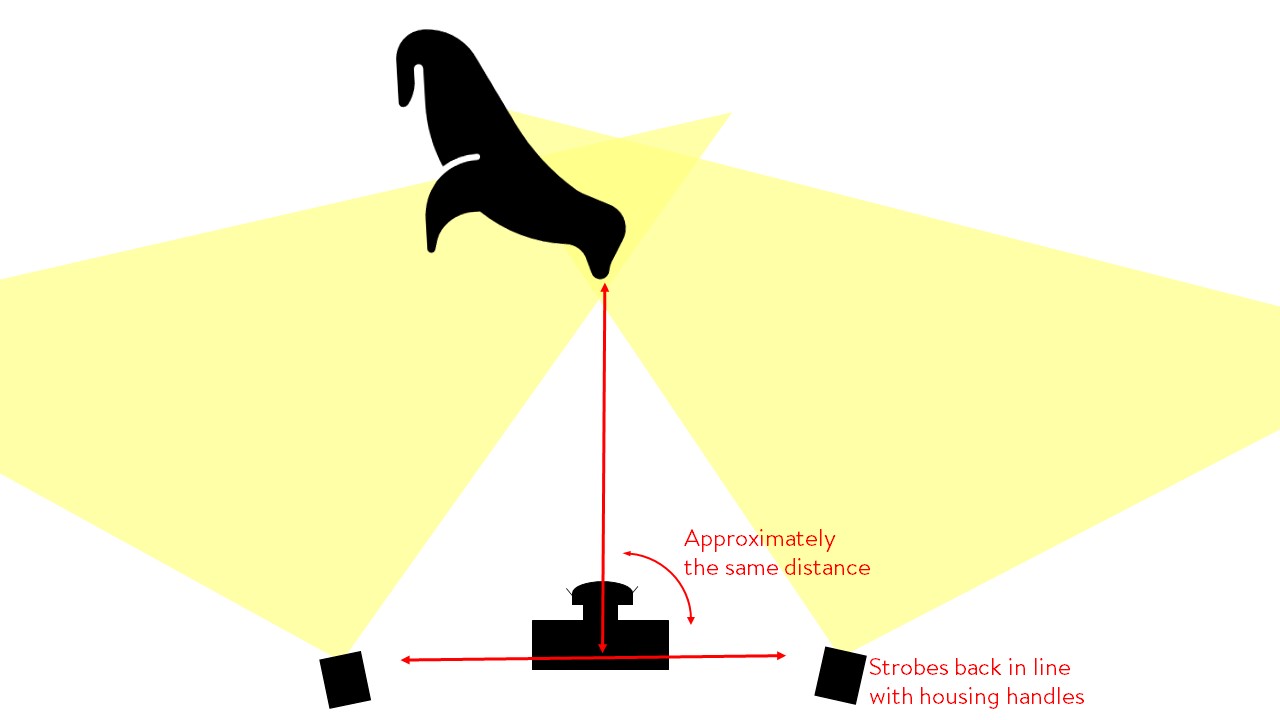 Move strobes out for subject further away. Keep them pulled back.