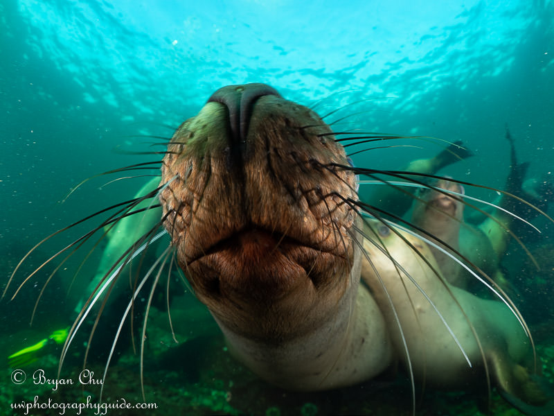 This shot is fun at first, but after you have a couple, it gets really boring!