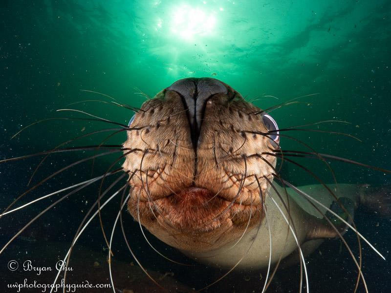 Not quite eye contact - camera too low!