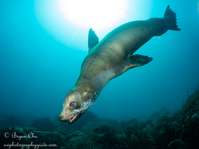 Don't forget to have fun!!