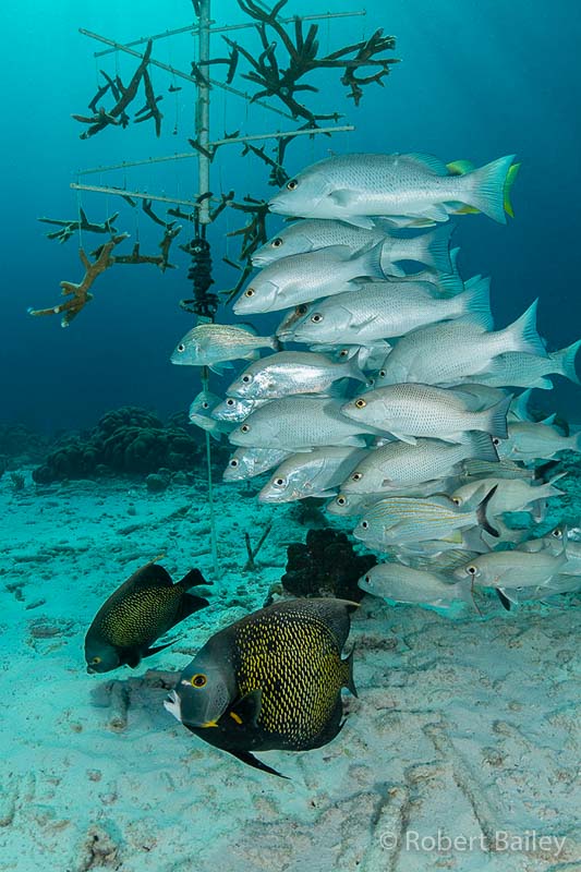 Ten_Ways_To_Protect_Ocean_2