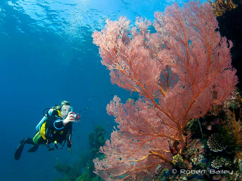 An uncluttered model wearing modern equipment works well