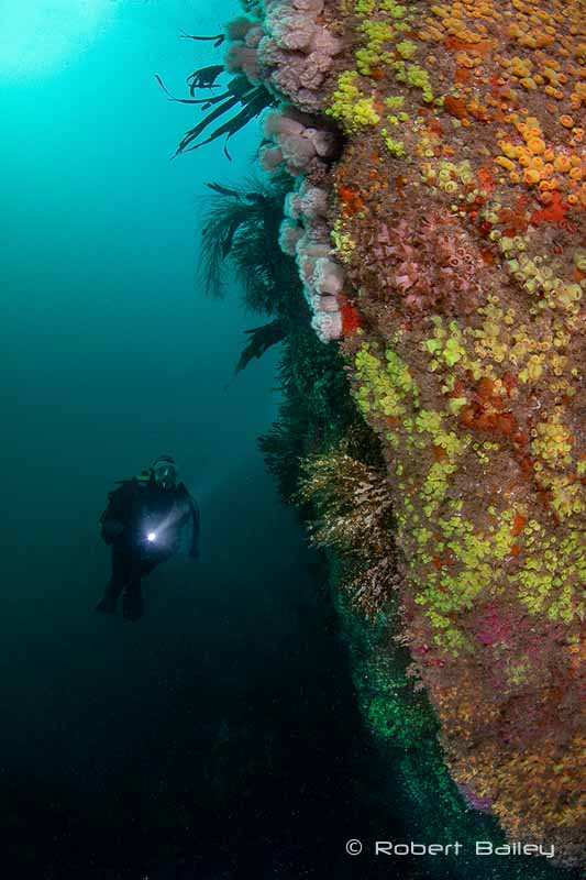 Ask the model to focus the light where they're looking