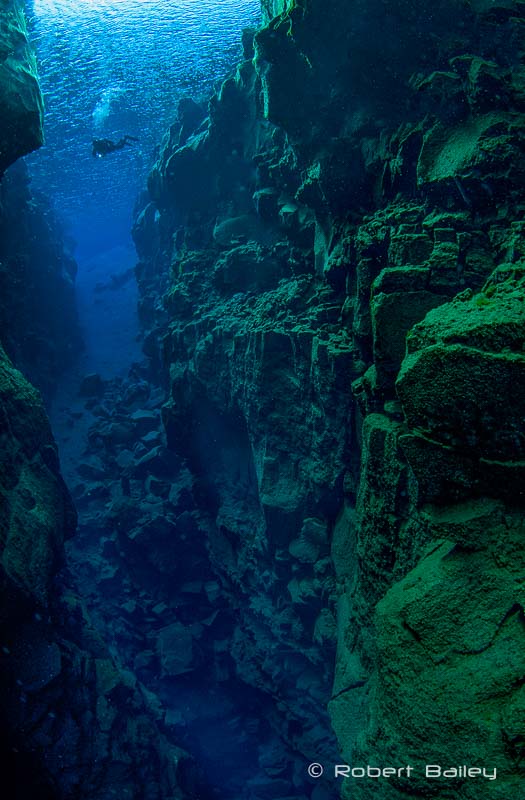 Separating your subject from the background creates impact