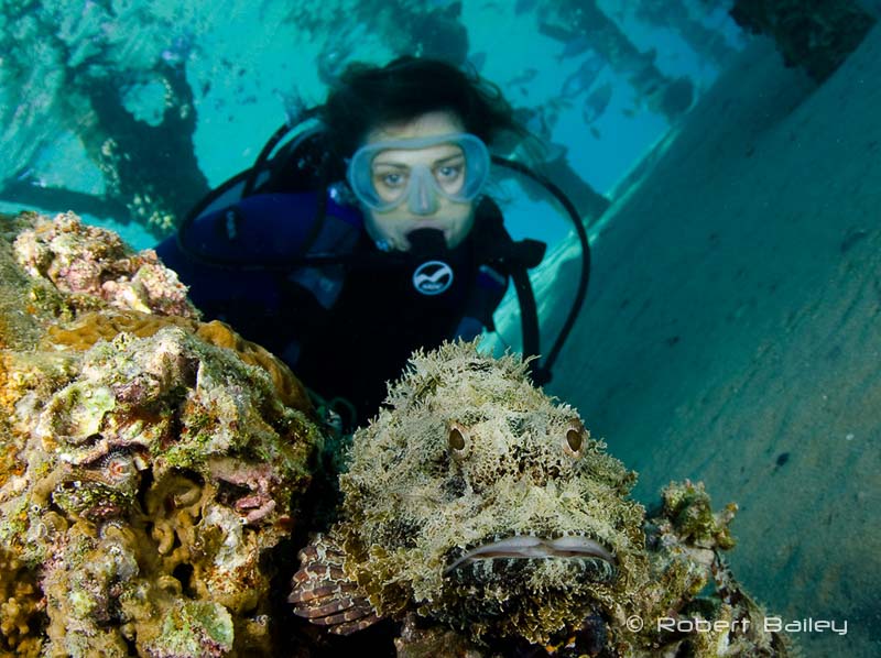 Experienced divers are relaxed, and often make the best models