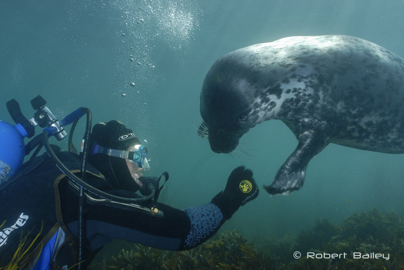 Interaction with marine life is memorable, but cannot be planned. No photograph is worth causing an animal stress, or harming the environment.