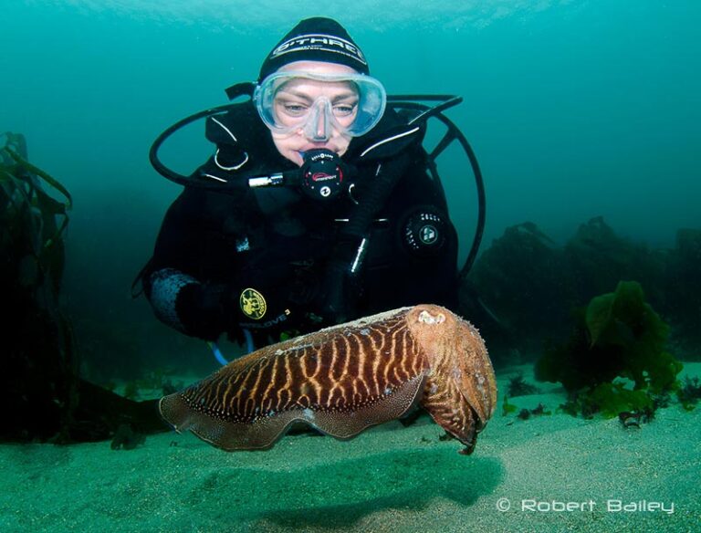 Top tips for working with a model underwater UW_Model_Robert_Bailey_Header Image