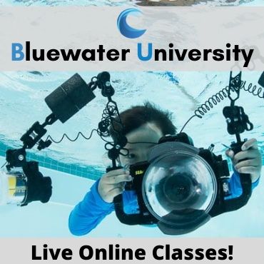 bluewater university