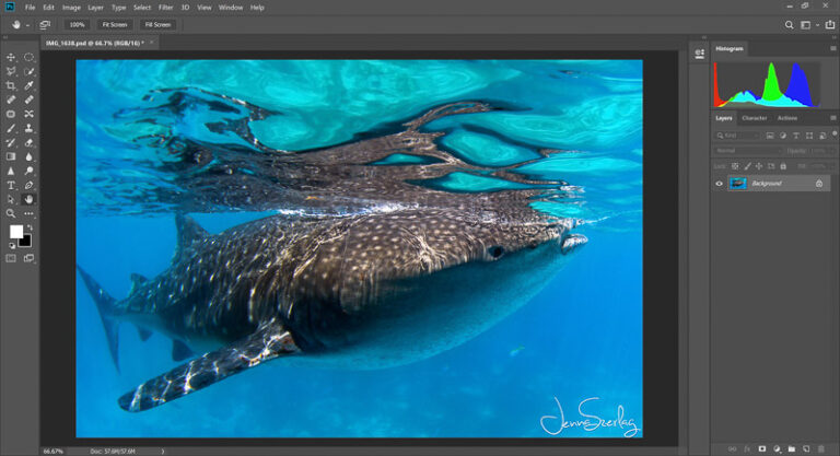 Adobe Lightroom vs Photoshop for Underwater Photographers lightroom