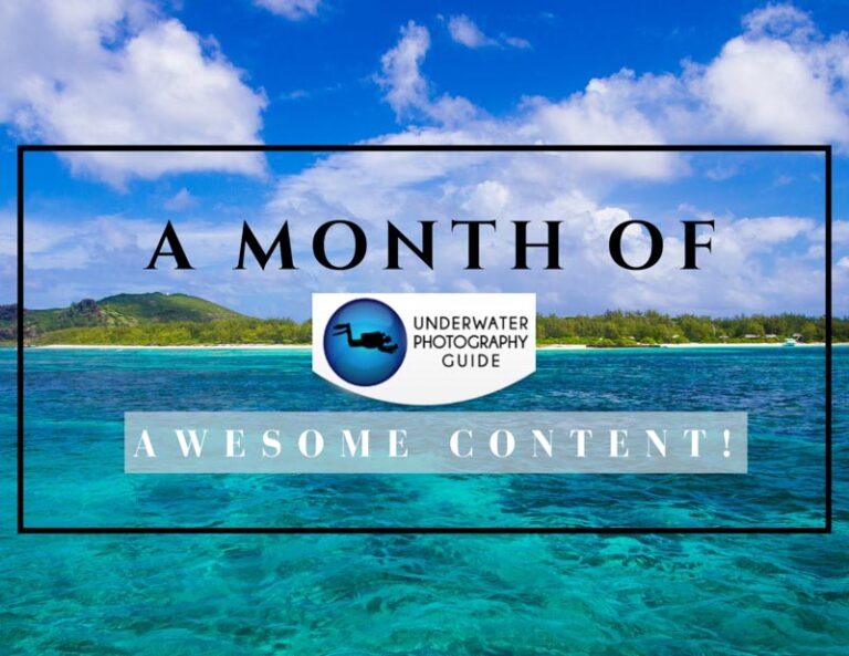 May, 2020: A Month of AWESOME Content! monthofcontent4