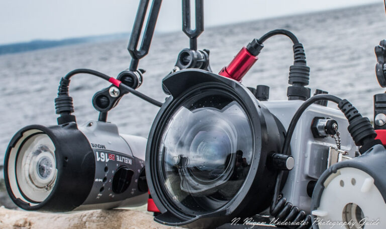 Olympus OM-D E-M1 Mark III Review NJN_9403