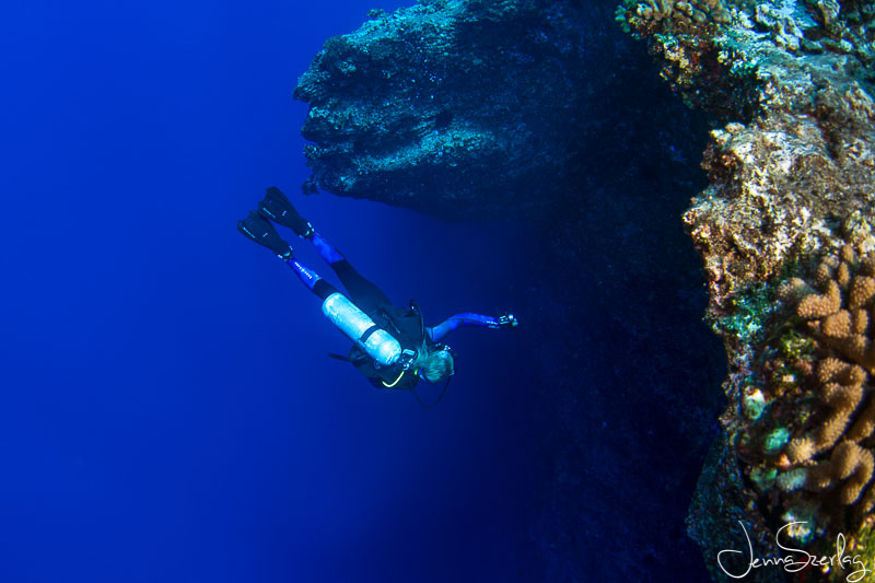 Diver on Molokini's Back Wall. Maui, Hawaii Nikon D780, 8-15mm Fisheye Lens, f/11, 1/125, ISO 200 Photo by Jenna Szerlag Diver on Molokini's Back Wall. Maui, Hawaii Nikon D780, f/11, 1/125, ISO 200 Photo by Jenna Szerlag