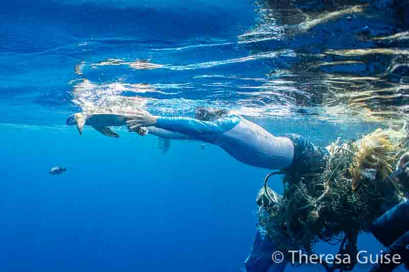 Alex Mustard freeing turtle by Theresa Guise Alex Mustard freeing turtle by Theresa Guise