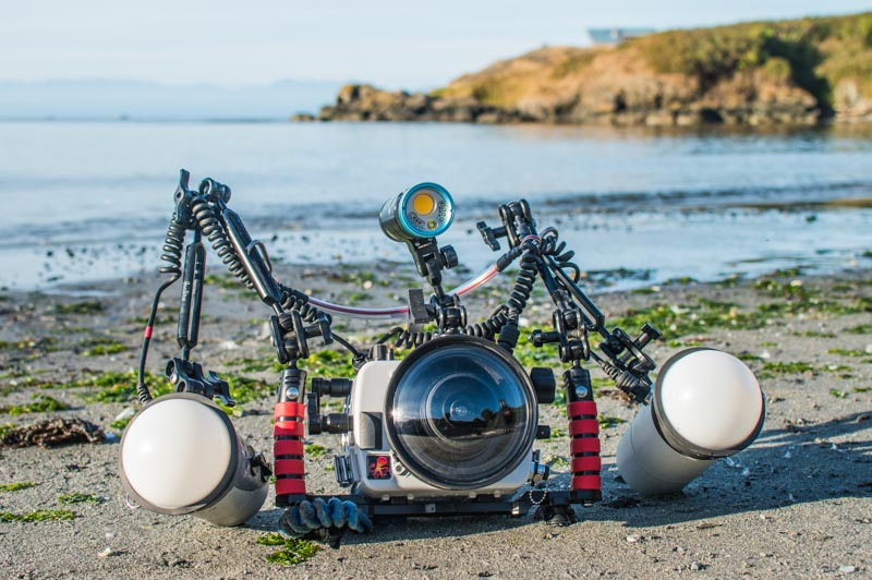 Canon EOS R5 in an Ikelite EOS R5 Housing during our field tests Canon eos r5 underwater housing