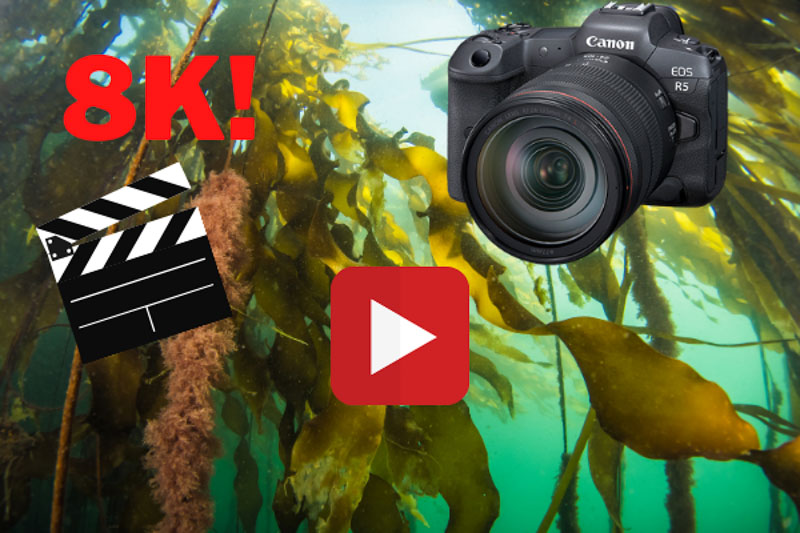 Canon EOS R5 8K