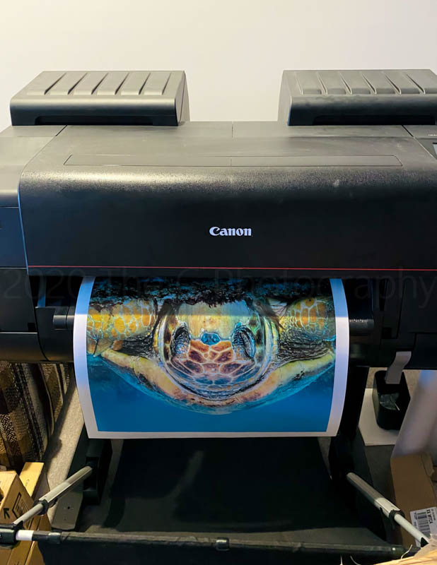 Canon Printer: This is my large format 24 in. printer used for creating prints and canvases. It has Excellent color and I would always recommend this printer.