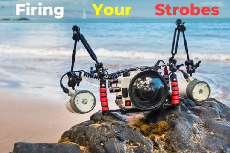 How to Fire Your Underwater Strobes firing strobe-2